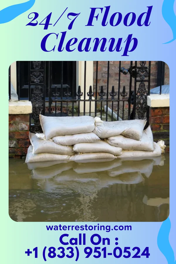 24/7 Flood Cleanup in Pea Ridge, WV