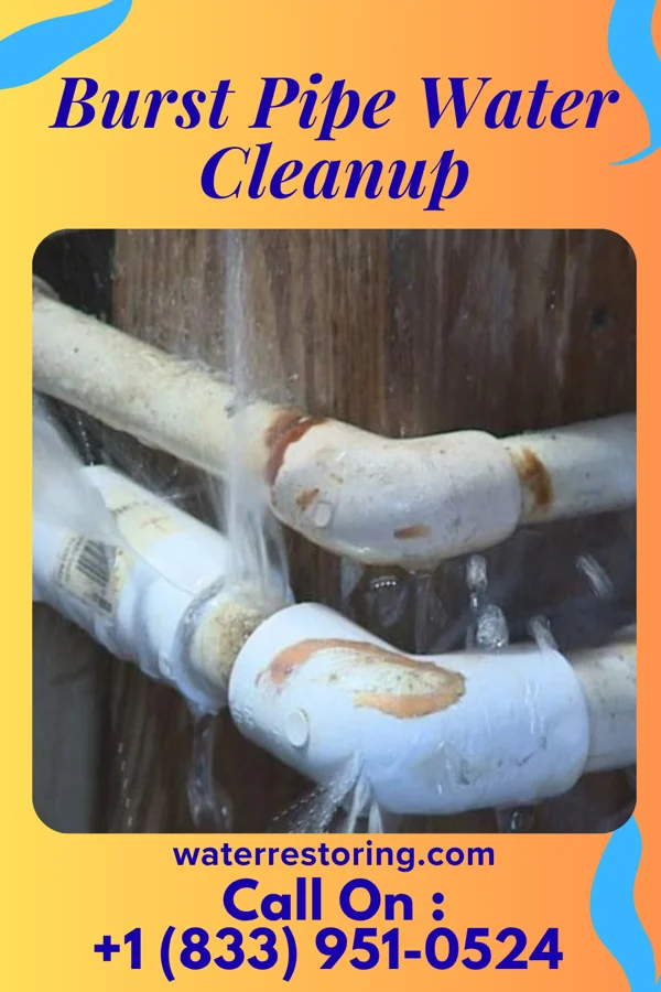 Burst Pipe Water Cleanup in Pea Ridge, WV