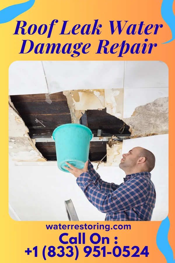 Roof Leak Water Damage Repair in Pea Ridge, WV