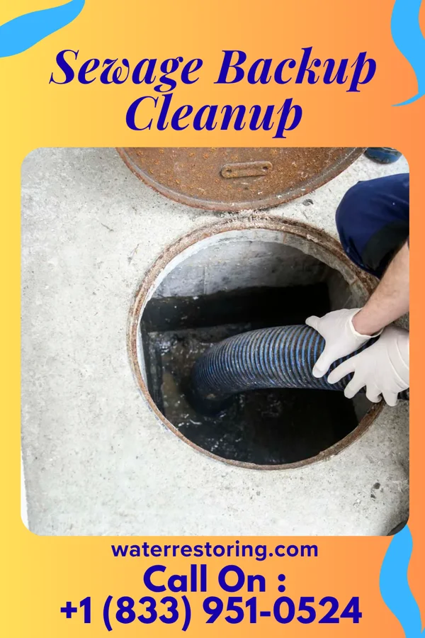 Sewage Backup Cleanup in Pea Ridge, WV