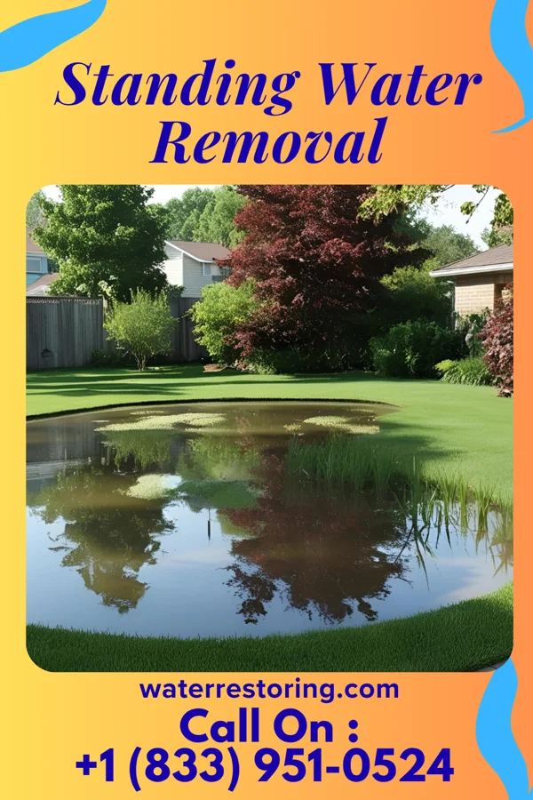 Standing Water Removal in Pea Ridge, WV